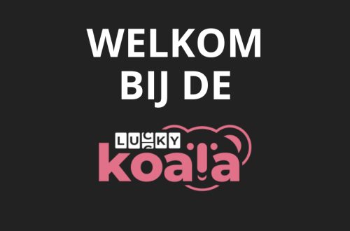 LuckyKoala - Charmant online casino voor Nederlandse spelers